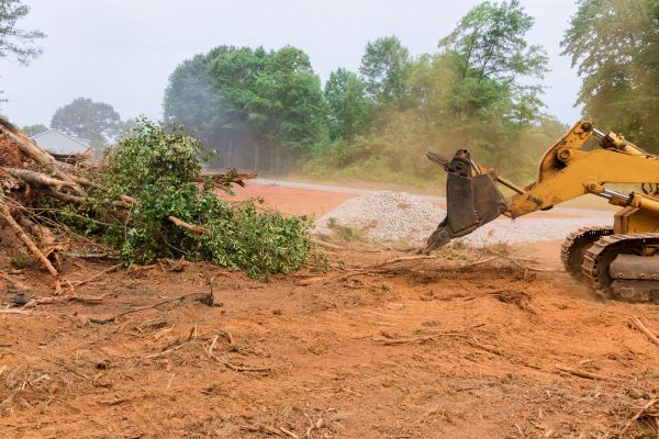 Ground Clearing in Terre Haute