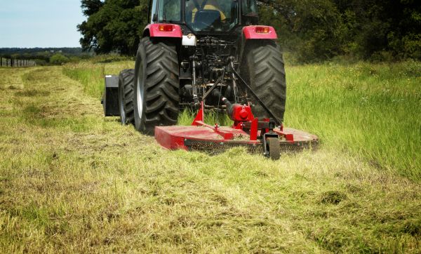 Brush Clearing Service in Terre Haute