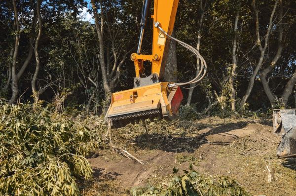 Brush Removal Service in Terre Haute