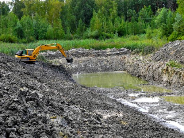 Cost of Lake Lot Clearing in Terre Haute