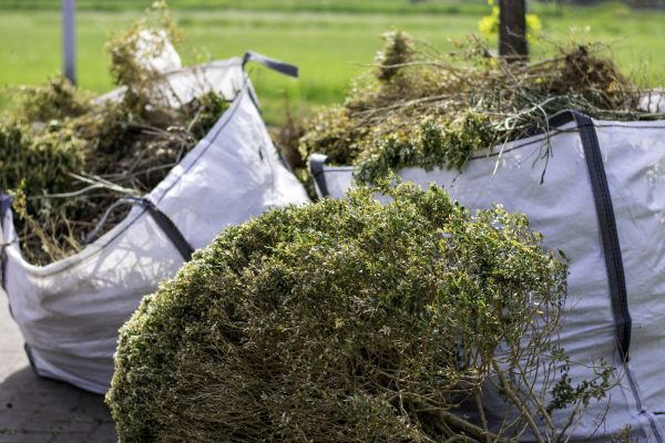 Cost of Bushes Clearing in Terre Haute