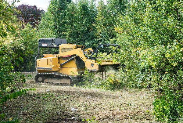 Cost of Pathway Clearing in Terre Haute