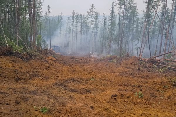 Cost of Hill Clearing in Terre Haute