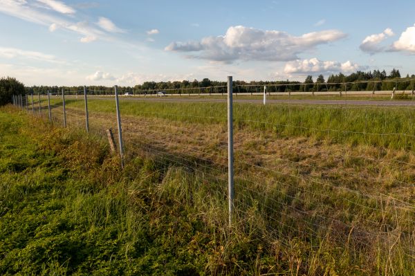 Cost of Property Line Clearing in Terre Haute
