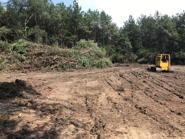 Cost of Thicket Clearing in Terre Haute