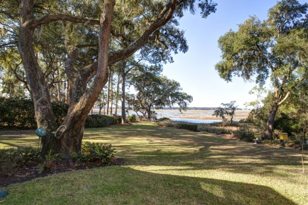 Cost of Lakefront Property Clearing in Terre Haute