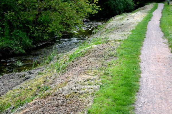 Cost of Trail Cutting in Terre Haute