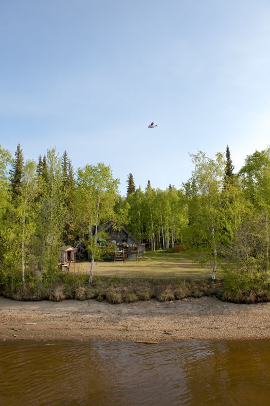 Post-Clearing Land Management